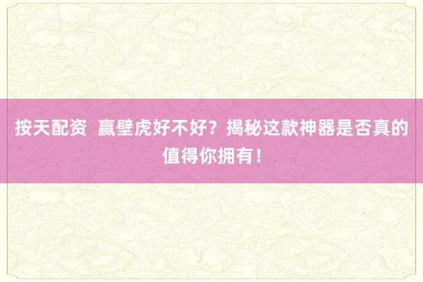 按天配资  赢壁虎好不好？揭秘这款神器是否真的值得你拥有！