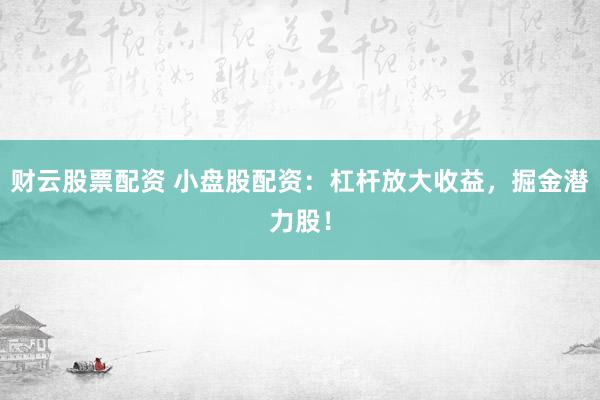 财云股票配资 小盘股配资：杠杆放大收益，掘金潜力股！
