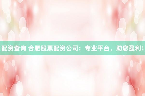 配资查询 合肥股票配资公司：专业平台，助您盈利！