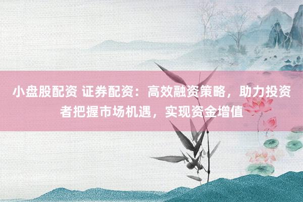 小盘股配资 证券配资：高效融资策略，助力投资者把握市场机遇，实现资金增值
