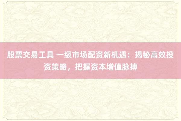股票交易工具 一级市场配资新机遇：揭秘高效投资策略，把握资本增值脉搏