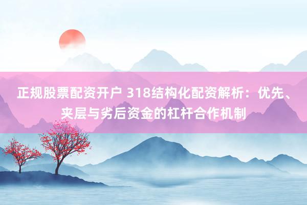 正规股票配资开户 318结构化配资解析：优先、夹层与劣后资金的杠杆合作机制