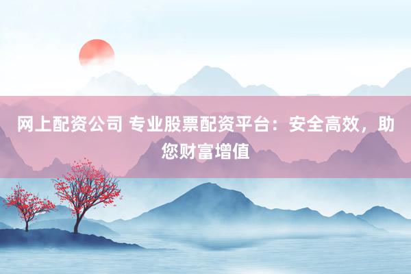 网上配资公司 专业股票配资平台：安全高效，助您财富增值