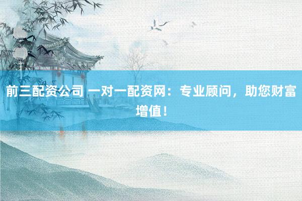 前三配资公司 一对一配资网:专业顾问,助您财富增值!