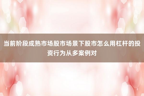当前阶段成熟市场股市场景下股市怎么用杠杆的投资行为从多案例对