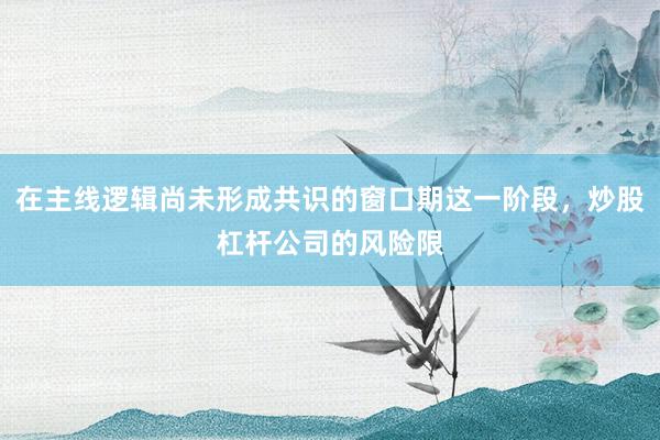 在主线逻辑尚未形成共识的窗口期这一阶段，炒股杠杆公司的风险限