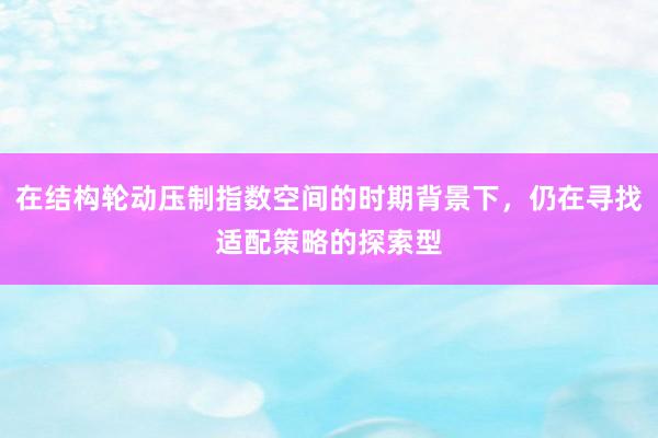 在结构轮动压制指数空间的时期背景下，仍在寻找适配策略的探索型