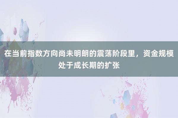 在当前指数方向尚未明朗的震荡阶段里，资金规模处于成长期的扩张