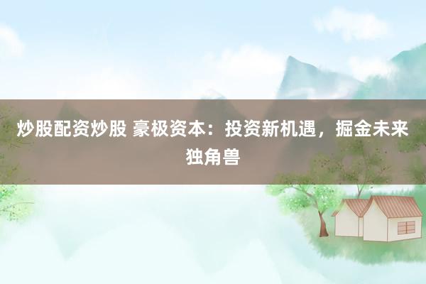 炒股配资炒股 豪极资本:投资新机遇,掘金未来独角兽