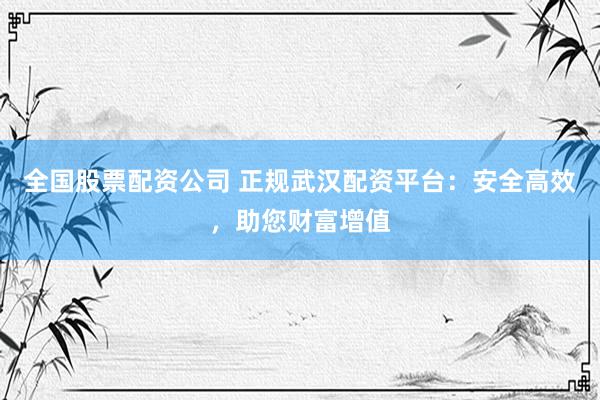 全国股票配资公司 正规武汉配资平台:安全高效,助您财富增值