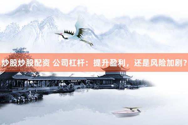 炒股炒股配资 公司杠杆:提升盈利,还是风险加剧?